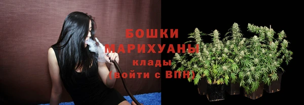 дурь Волосово