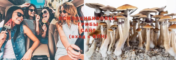 прущая мука Волоколамск
